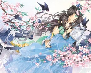 猫咪最新域名永久地址